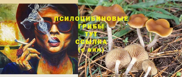 дурь Ряжск