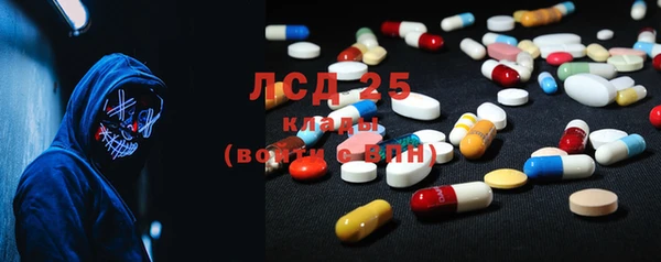стафф Медногорск