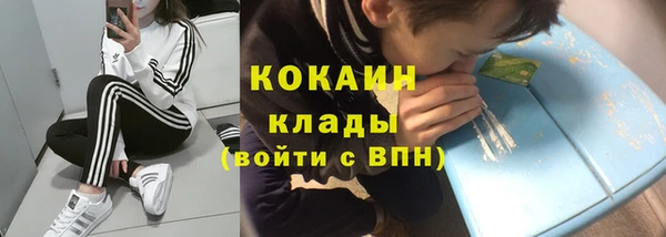 стафф Медногорск