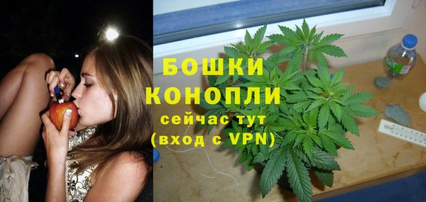 спайс Медвежьегорск