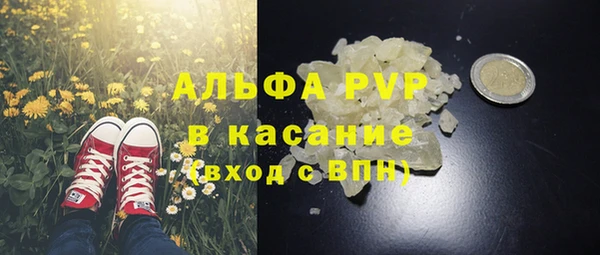 стафф Медногорск