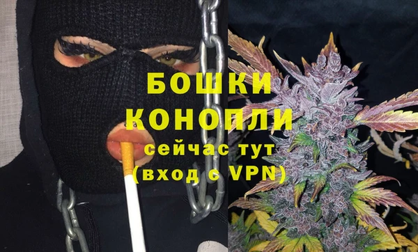 стафф Медногорск
