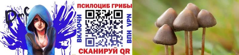 Галлюциногенные грибы мухоморы  KRAKEN ССЫЛКА  Кимовск 