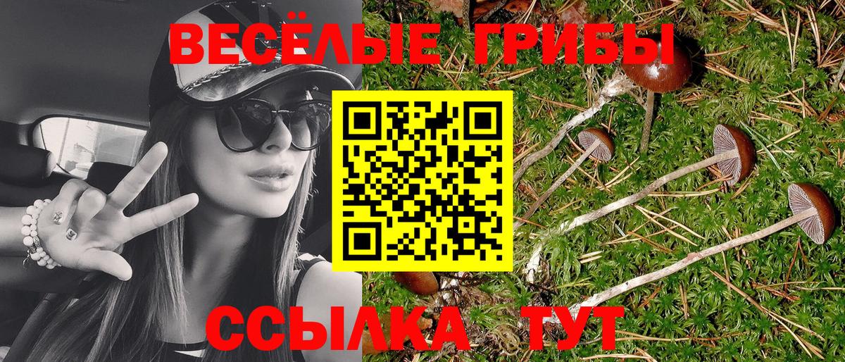 Псилоцибиновые грибы мицелий Кимовск