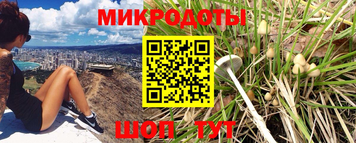 Псилоцибиновые грибы Cubensis  Вход с VPN  Кимовск  Галлюциногенные грибы Magic Shrooms 