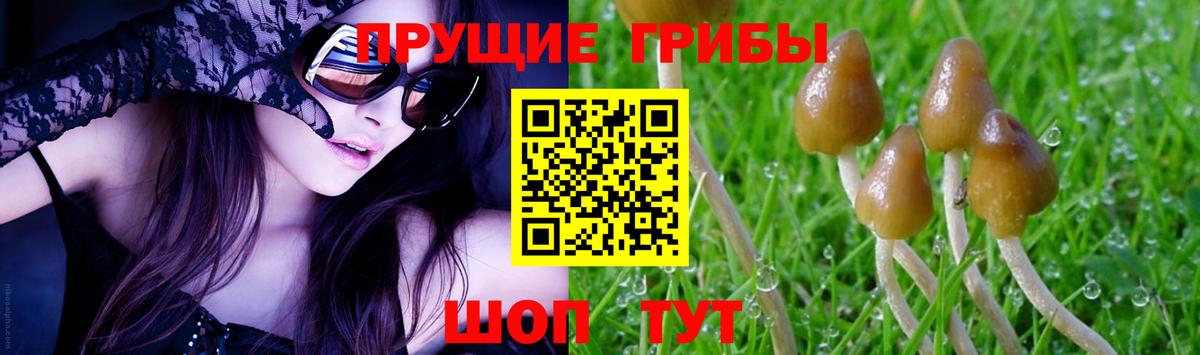 Галлюциногенные грибы Cubensis  Кимовск 