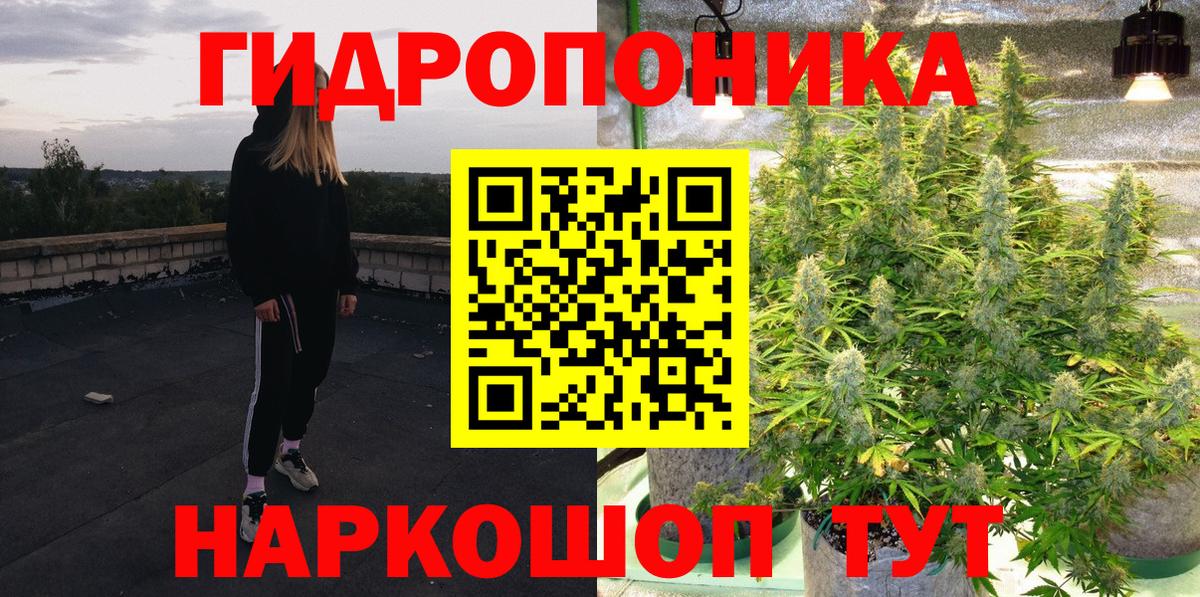 Конопля семена Кимовск